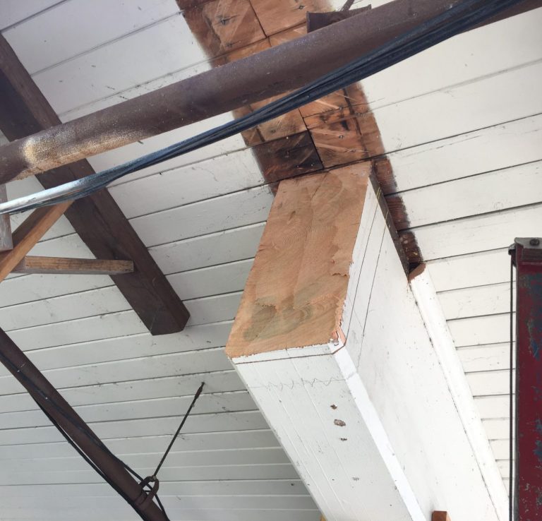 Dry Rot Repair