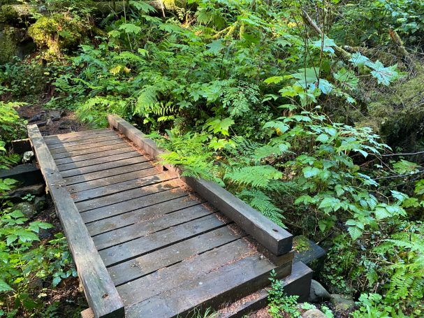 Hiking Bridge